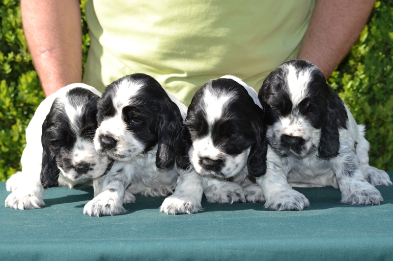 21-Habi, Hanny, Hart, Haidi.JPG